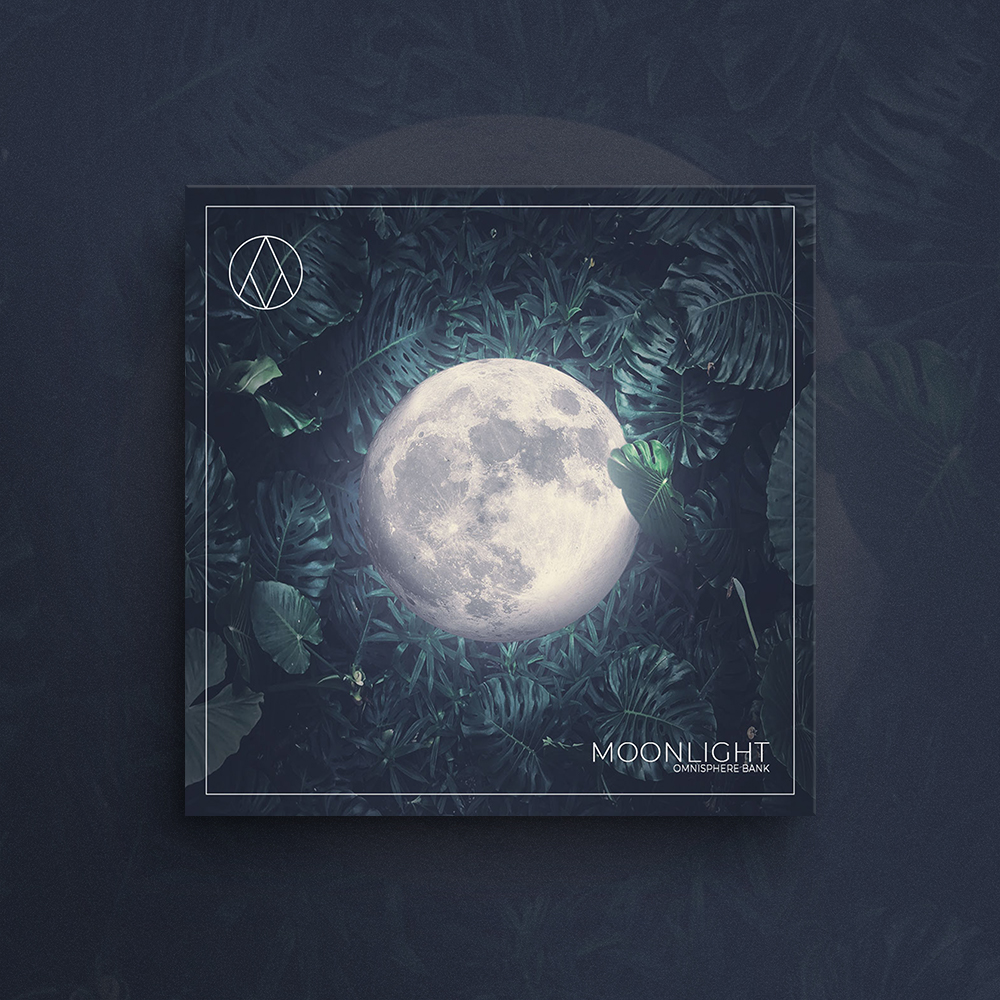 Moonlight Artwork Picture Of A Moon