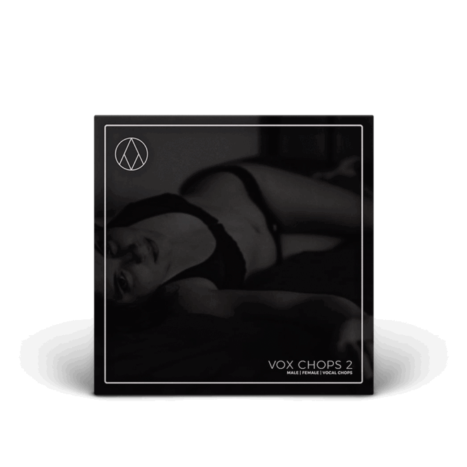 Artwork for Vox Chops 2