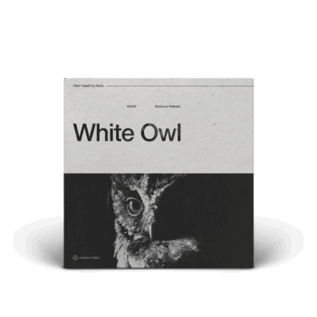 Artwork For White Owl Drum Kit