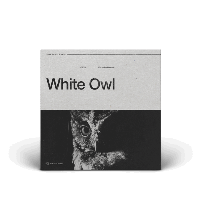 Artwork For White Owl Drum Kit